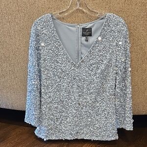 Silver Blue Sequin Shimmering 3/4 Sleeve V-neck Top, Size 8